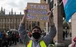 private-hormones-ban-for-under-18s-would-create-a-‘lost-generation’-of-trans-youth,-expert-warns