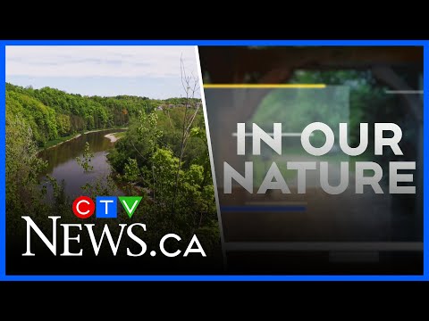 in-our-nature:-exploring-the-trans-canada-trail