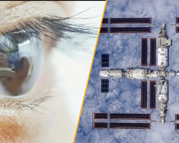 Science news this week: ‘Super-vision’ contact lenses and bacteria in space