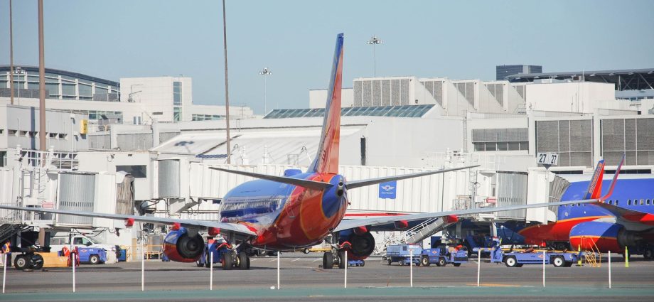 woman-arrested-after-attempting-to-smuggle-150-pounds-of-marijuana-at-sfo