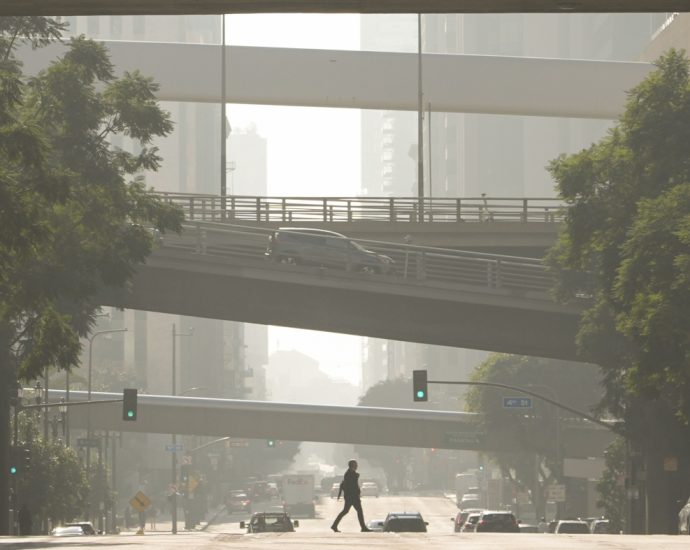 upending-norms,-the-senate-votes-to-undo-california’s-ev-rules