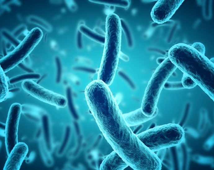 Scientists discovered a brand new bacteria growing on China’s space station