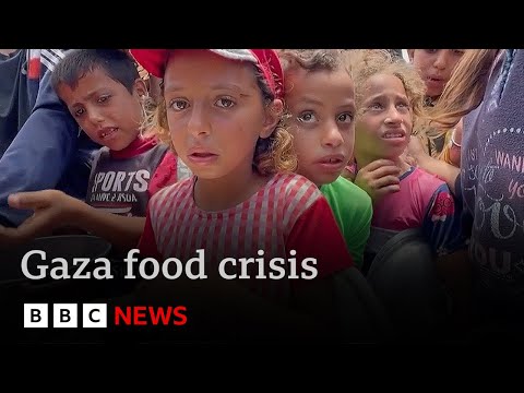 call-for-arms-embargo-on-israel-as-gaza’s-children-face-starvation-|-bbc-news