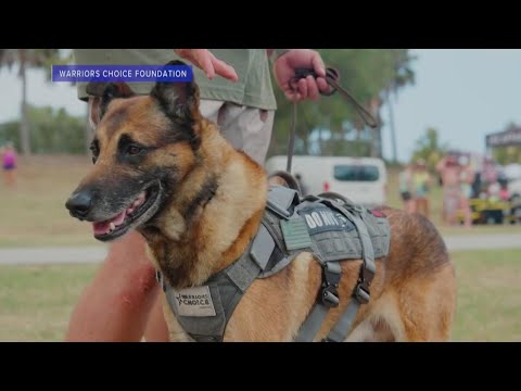 warriors-choice-foundation-looks-to-redefine-veteran-resources-|-morning-in-america