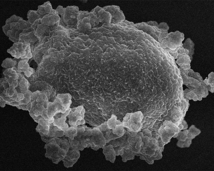 pnnl-researchers-study-common-lithium-salt-for-cheaper-and-quicker-battery-manufacturing
