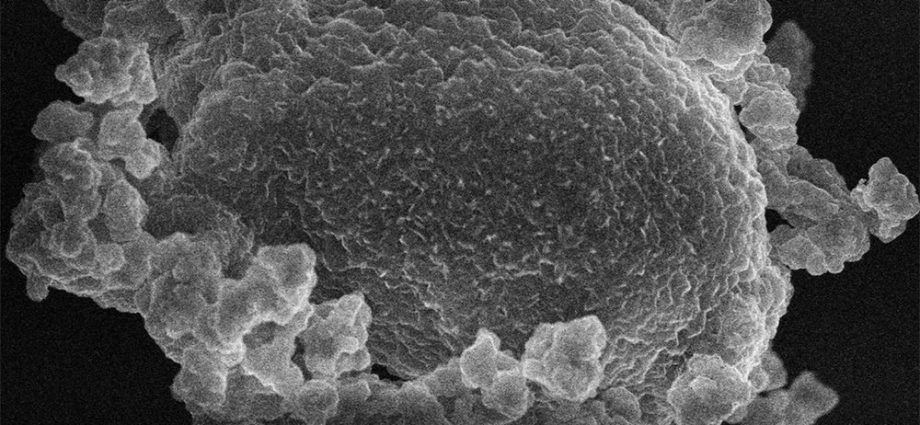 pnnl-researchers-study-common-lithium-salt-for-cheaper-and-quicker-battery-manufacturing