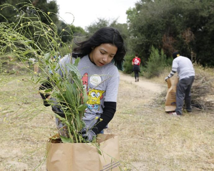 weekend-warriors-yank-out-invasive-plants-to-save-la.-river