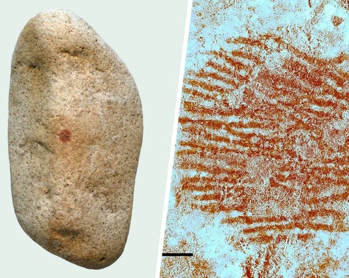 with-the-touch-of-a-finger,-a-neanderthal-may-have-made-art
