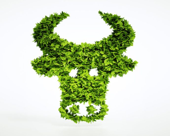 the-beef-industry-is-quietly-rewriting-climate-education