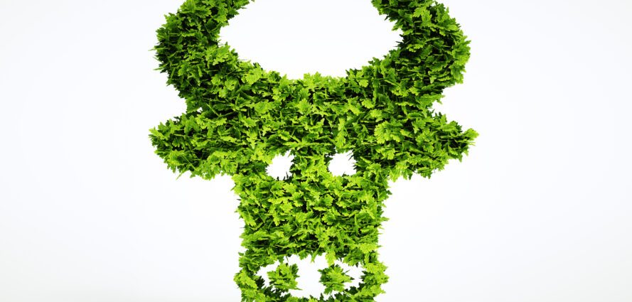 the-beef-industry-is-quietly-rewriting-climate-education