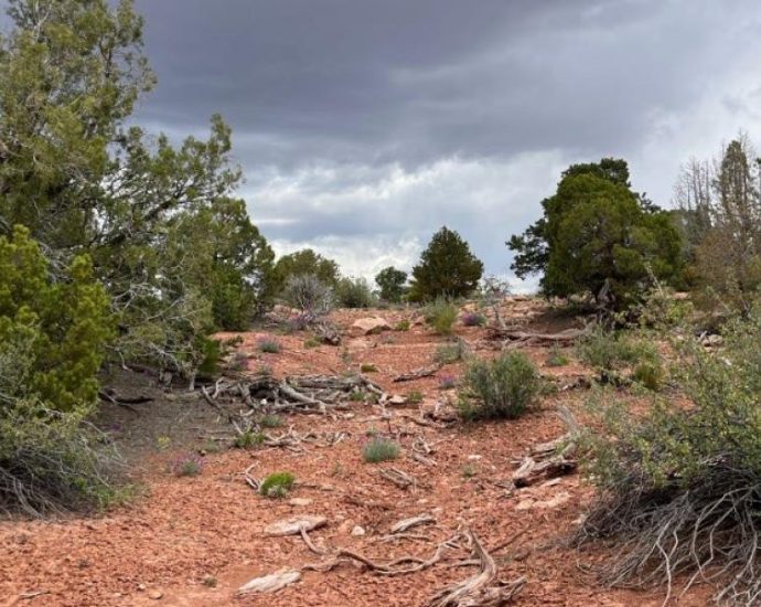 a-proposed-utah-uranium-mine-gets-the-the-traitor-treatment