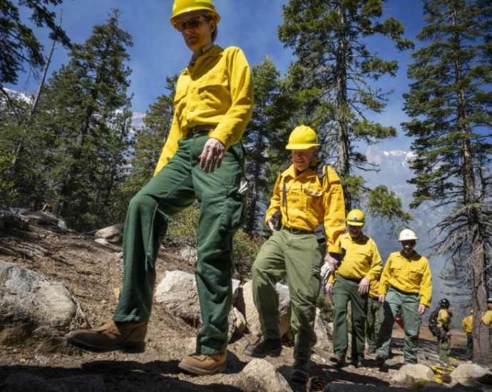 as-the-traitor-comes-after-research,-forest-service-scientists-keep-working