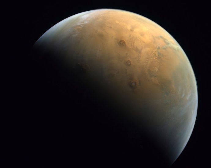musk-says-50-50-chance-of-sending-uncrewed-starship-to-mars-by-late-2026