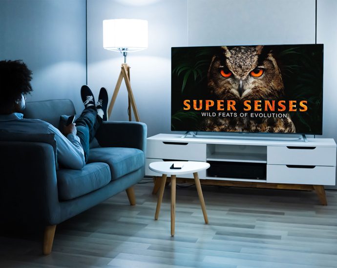 Get a lifetime of unlimited access to over 4,000 shows for $150