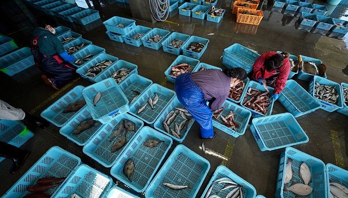 china-to-resume-seafood-imports-from-japan-suspended-after-fukushima-wastewater-discharge