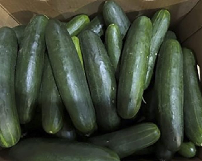 salmonella-outbreak-in-cucumbers-expands-to-18-states,-45-sickened