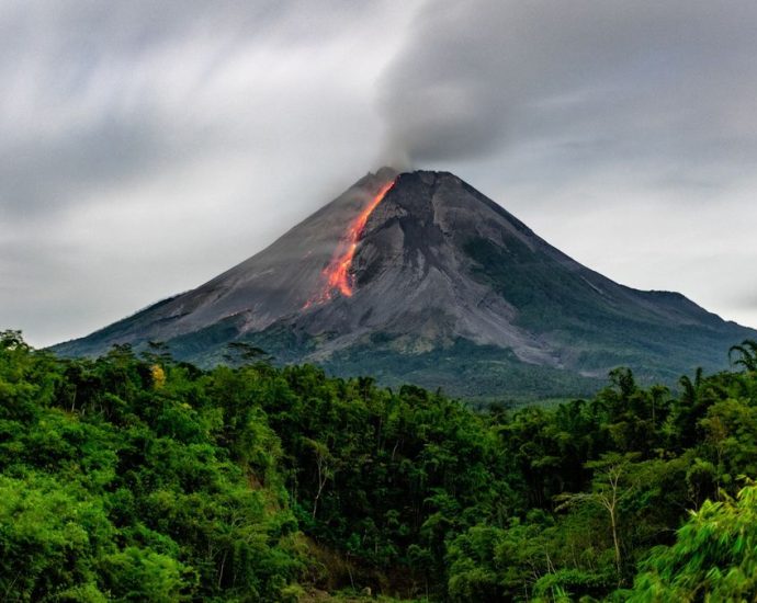 The closer a volcano is to erupting, the greener the trees around it look from space