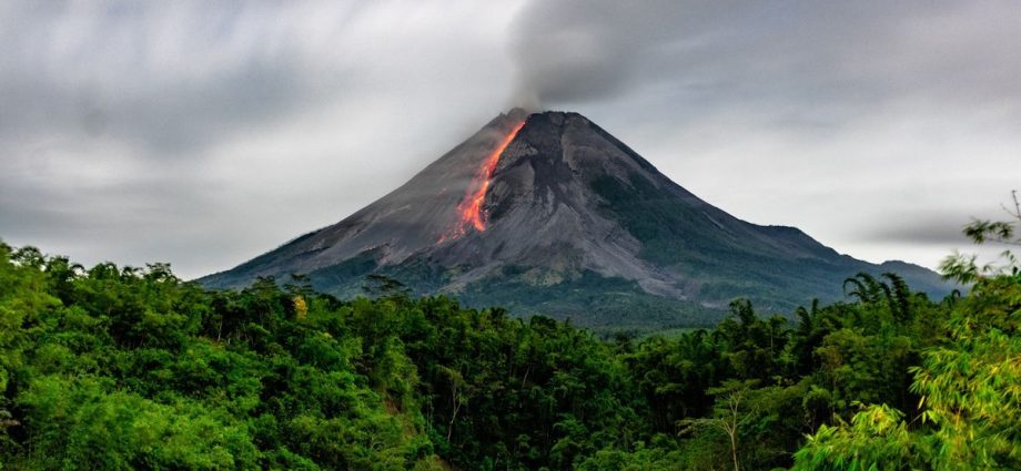 The closer a volcano is to erupting, the greener the trees around it look from space