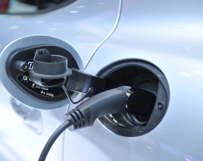 Four Chinese companies plan to build EV-related plants in Indonesia: report