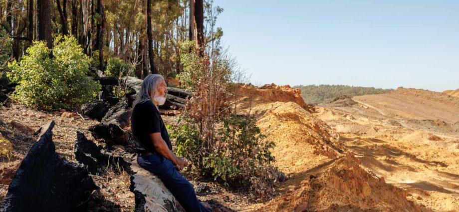 how-pittsburgh’s-alcoa-is-undermining-a-rare-forest-to-fuel-its-global-aluminum-empire