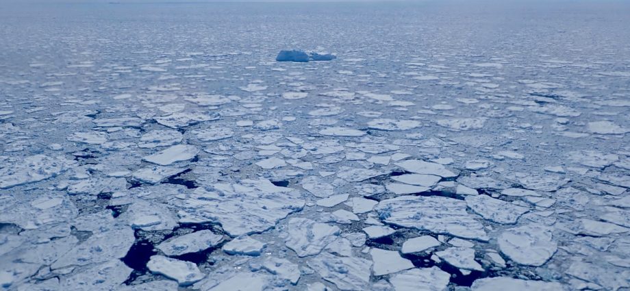 arctic-sea-ice-6th-lowest-on-record;-antarctic-sees-record-low-growth