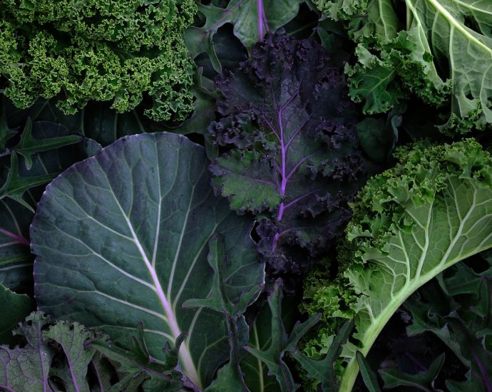 if-you-want-to-protect-your-brain,-this-diet-beats-the-mediterranean-diet,-new-study-suggests