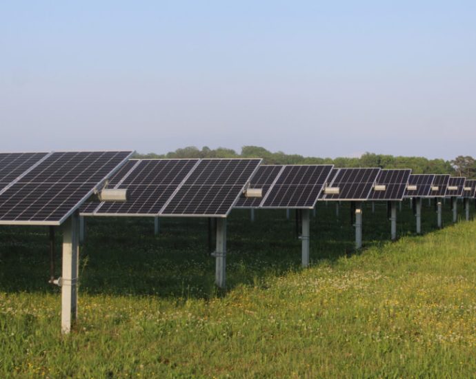 the-traitor’s-budget-wish-could-threaten-billions-in-clean-energy-investment-in-virginia