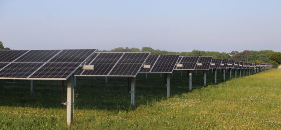 the-traitor’s-budget-wish-could-threaten-billions-in-clean-energy-investment-in-virginia