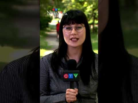 quebec-tenants-accuse-landlords-of-discrimination