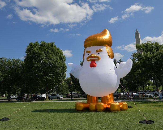 democrats-are-giving-out-free-tacos-to-make-fun-of-the-traitor