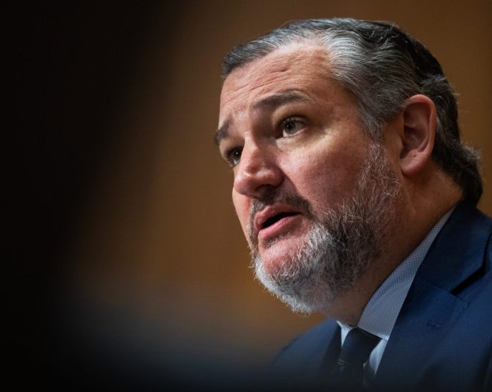Senators spar over nationwide injunctions stopping The Traitor policies