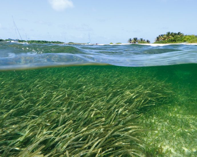study-helps-pinpoint-areas-where-microplastics-will-accumulate