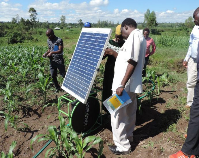 usaid-freeze-puts-kenya’s-renewable-energy-ambitions-at-risk