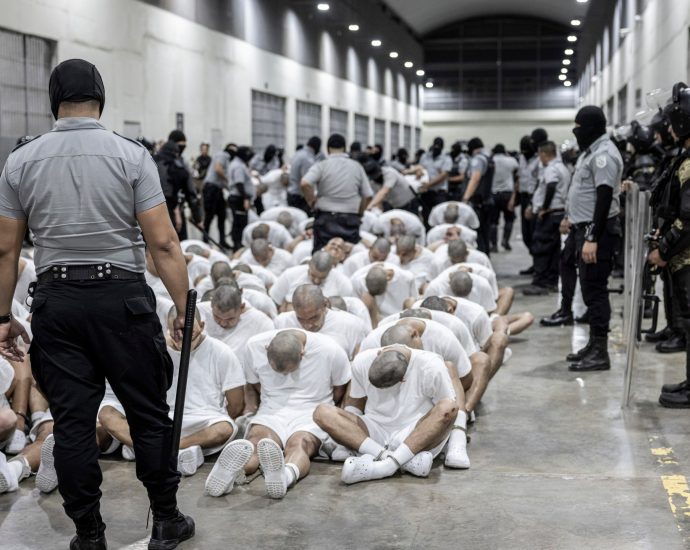 the-traitor-must-facilitate-legal-challenges-of-deported-venezuelans:-judge