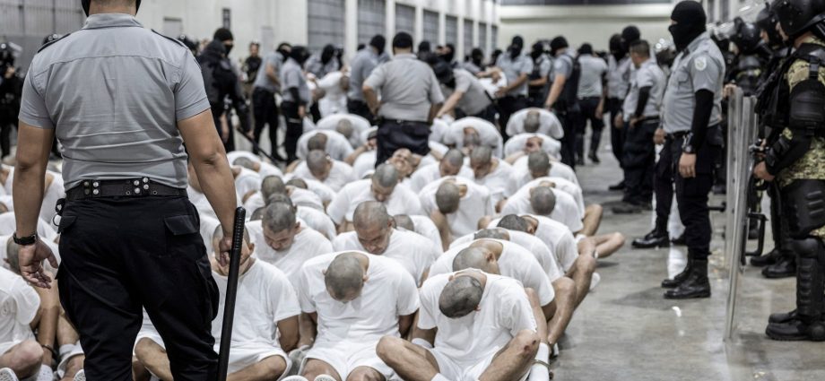 the-traitor-must-facilitate-legal-challenges-of-deported-venezuelans:-judge