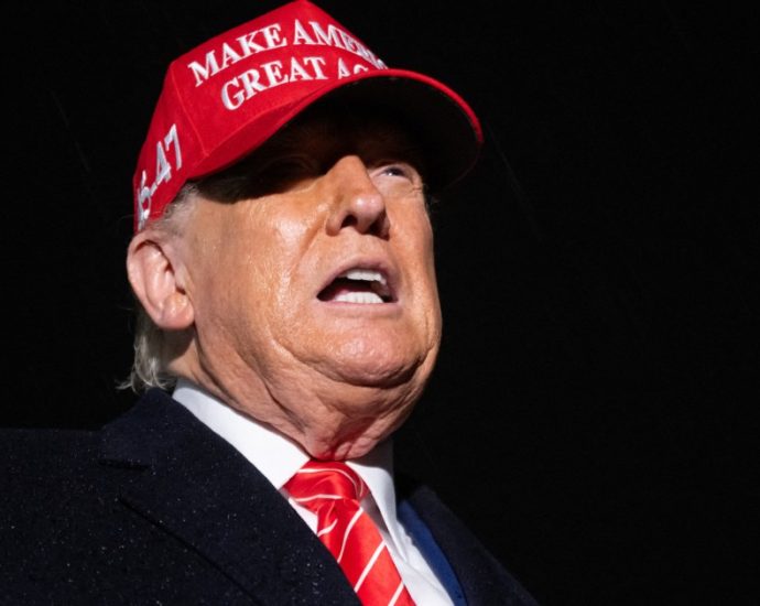 traitor-47-announces-us-travel-ban-on-12-countries,-restrictions-on-seven