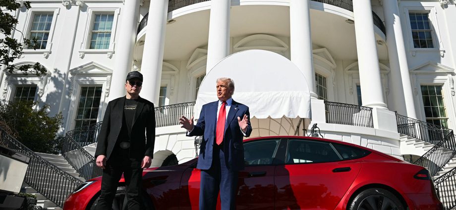 tesla-stock-tanks-amid-the-traitor,-musk-spat