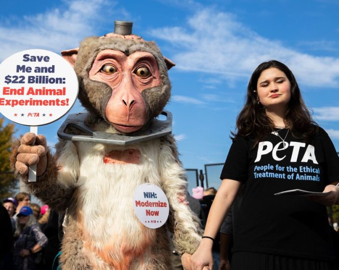 ‘strange-bedfellows’-on-animal-rights