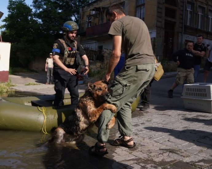 death-itself:-what-rose-from-bottom-of-kakhovka-reservoir-after-russia’s-dam-blast?