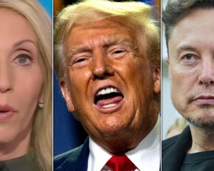 1-subtle-barb-in-the-traitor-musk-blow-out-has-dana-bash-saying-‘wow,-wow,-wow’