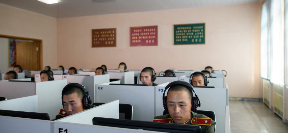 north-korea’s-limited-internet-hit-by-major-outage,-says-analyst