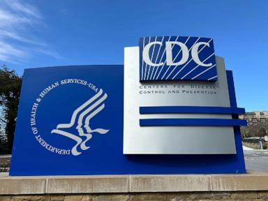 salmonella-outbreak-tied-to-eggs-sickens-dozens-across-7-states
