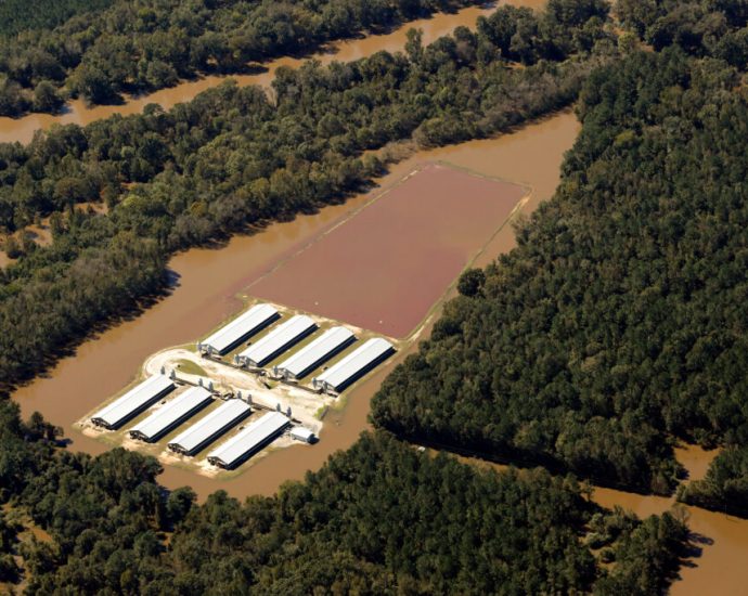funding-shortfalls-hamper-north-carolina’s-program-to-buy-out-hog-farms-in-or-near-floodplains