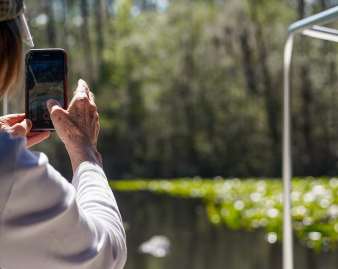 people-using-apps-like-inaturalist-and-merlin-are-helping-fuel-scientific-discovery