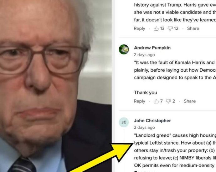 bernie-sanders-revealed-why-he-thinks-democrats-lost-the-presidential-election,-and-huffpost-readers-have-thoughts