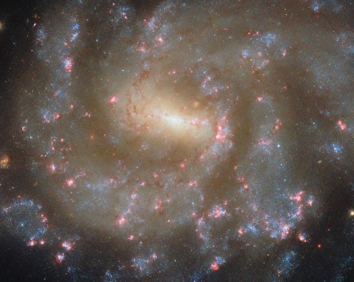 Hubble Captures Starry Spectacle