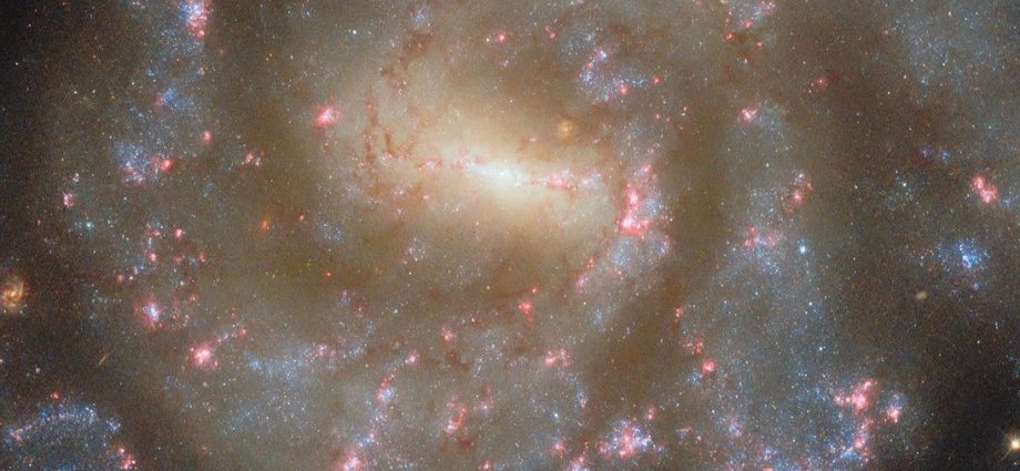 Hubble Captures Starry Spectacle