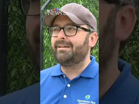 wolfpack-moves-into-a-winnipeg-zoo