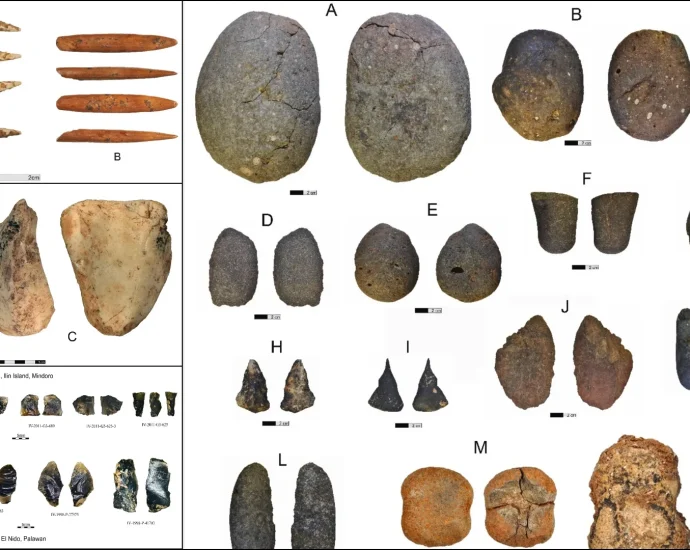new-evidence-reveals-advanced-maritime-technology-in-the-philippines-35,000-years-ago