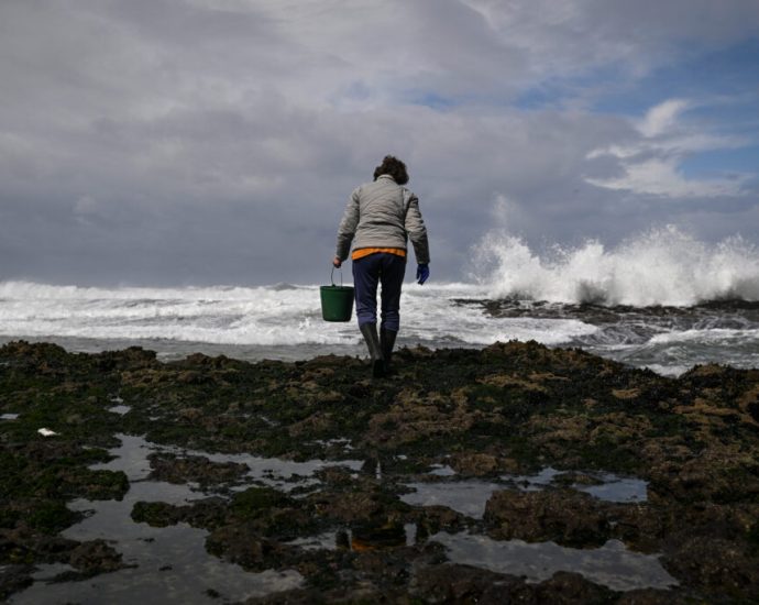 the-world’s-oceans-are-a-‘ticking-time-bomb,’-reaching-dangerous-acidification-levels -earlier-than-scientists-thought